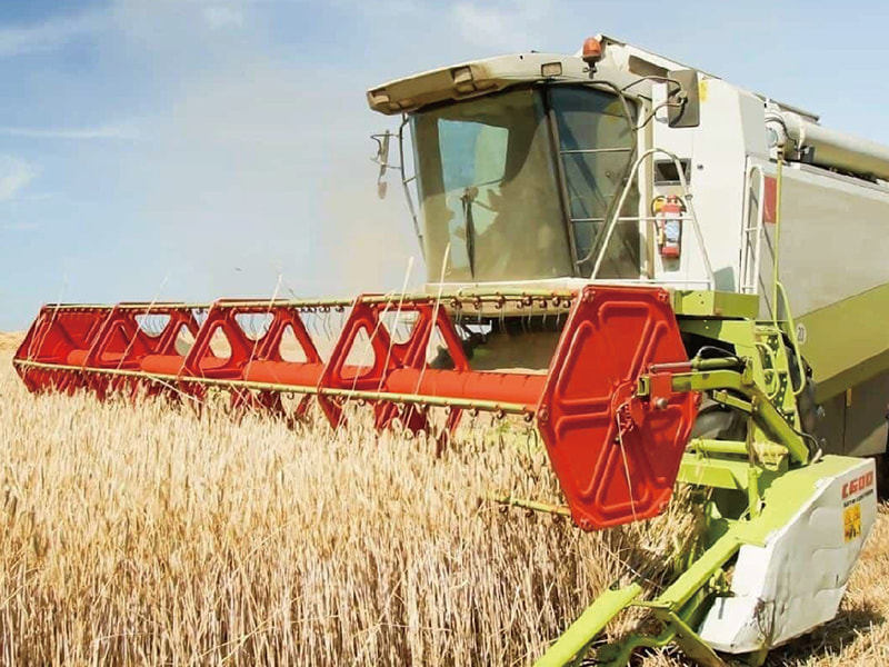 Grain harvester