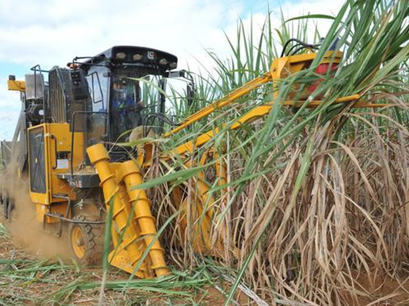 Sugarcane harvester