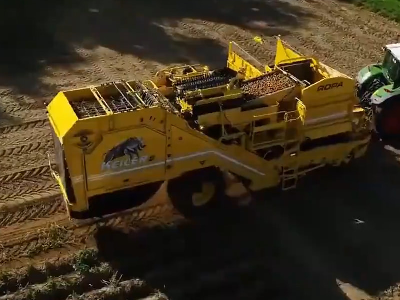 Potato harvester