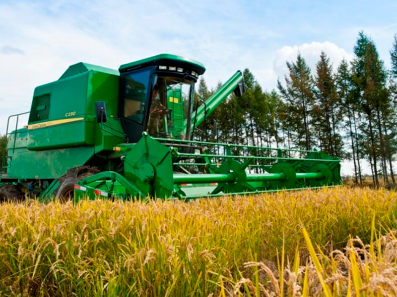 Rice harvester