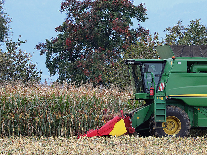 Corn harvester