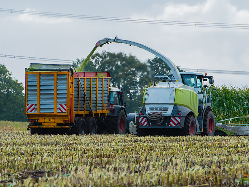 Corn harvester