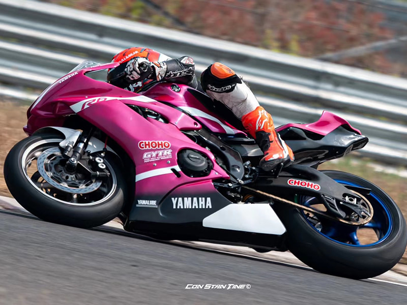 Motorcycle drive system